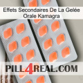 Effets Secondaires De La Gelée Orale Kamagra 27